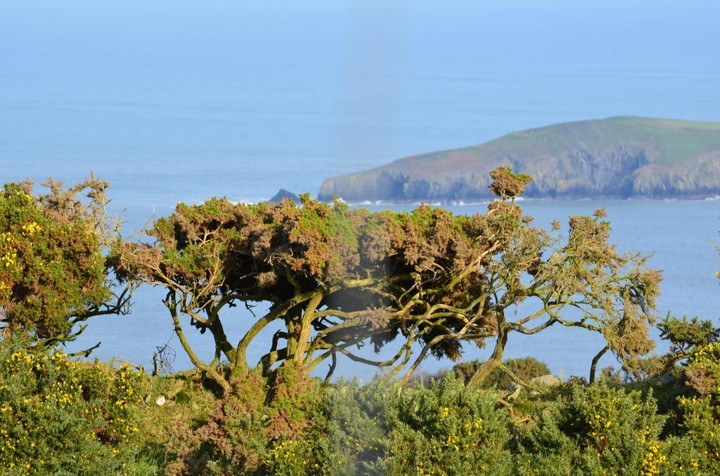 Hotel Teifi Netpool Pembroke Exteriér fotografie
