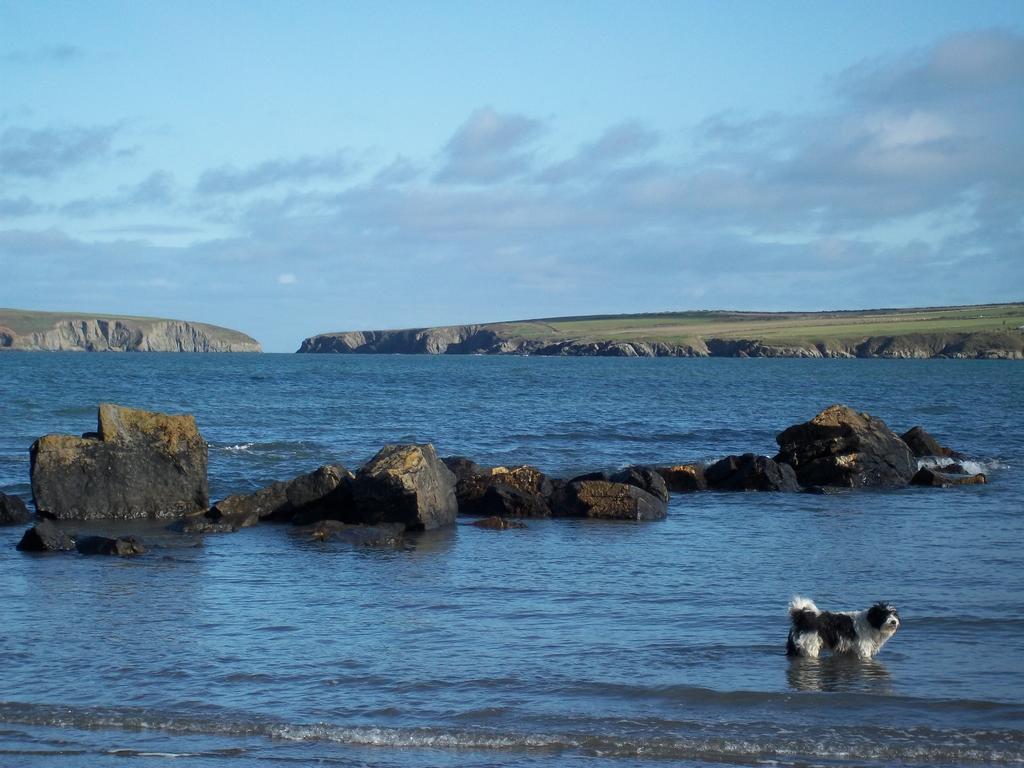 Hotel Teifi Netpool Pembroke Exteriér fotografie
